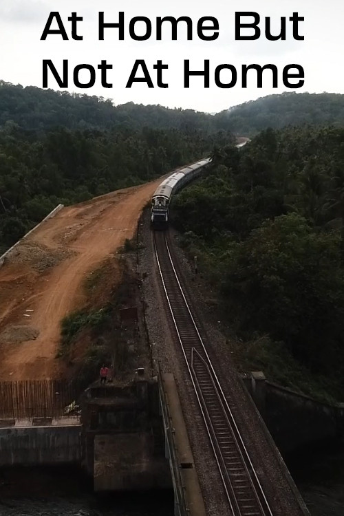 At Home But Not at Home poster