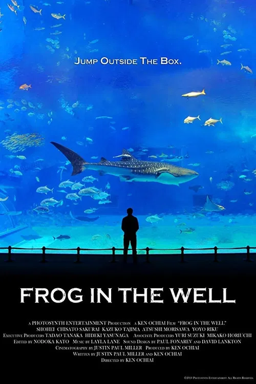 Frog in the Well poster