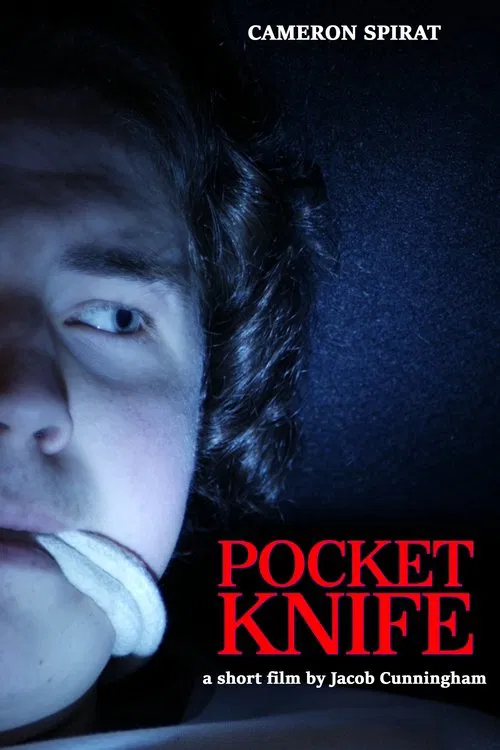 Pocket Knife poster