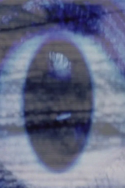 Hollywood Decollage poster