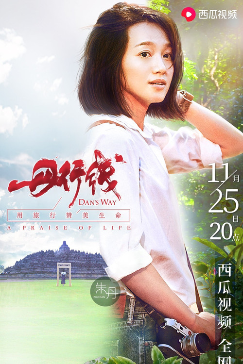 丹行线 poster