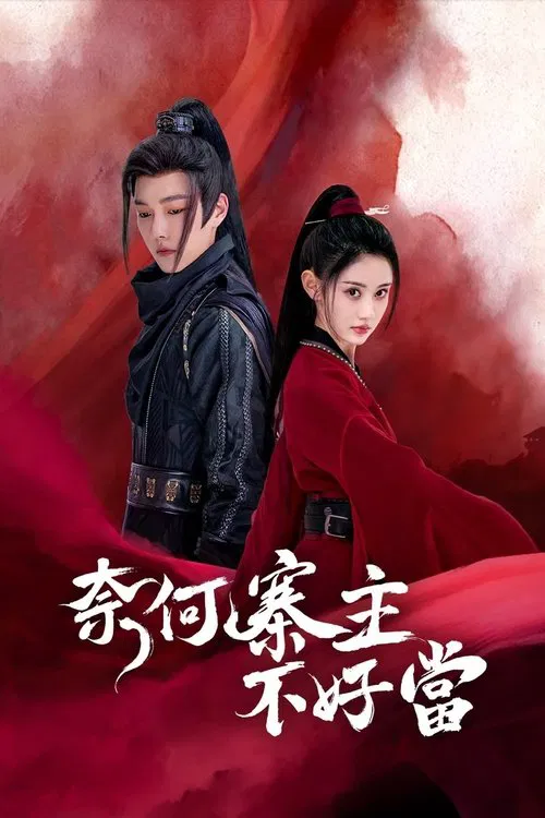 Yes, I Am a Spy poster