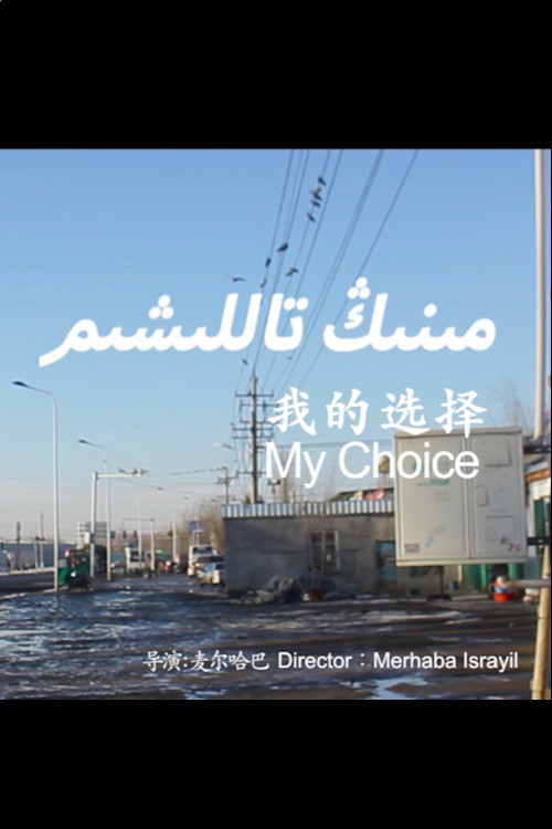 My Choice poster