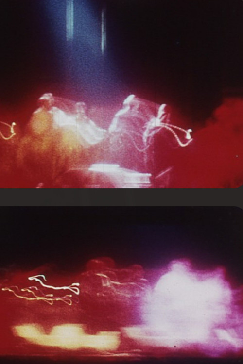 China Cat Sunflower poster