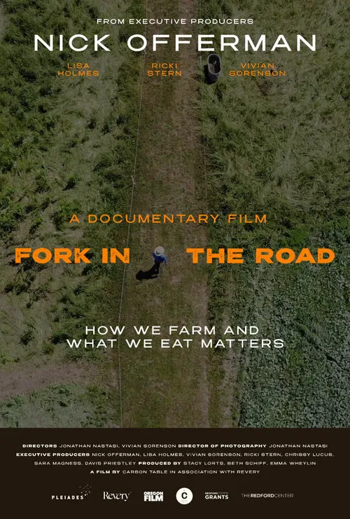 Fork in the Road poster