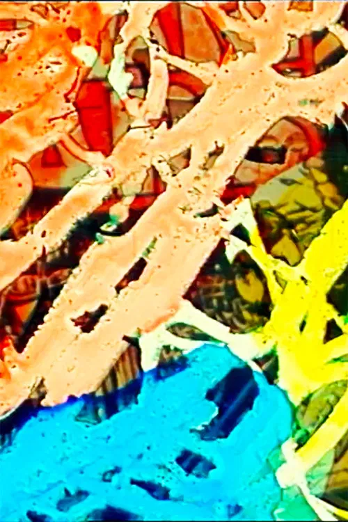 In the Colourbox poster