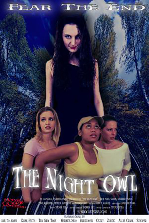 The Night Owl poster