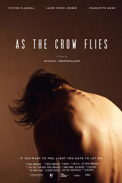 As the Crow Flies poster