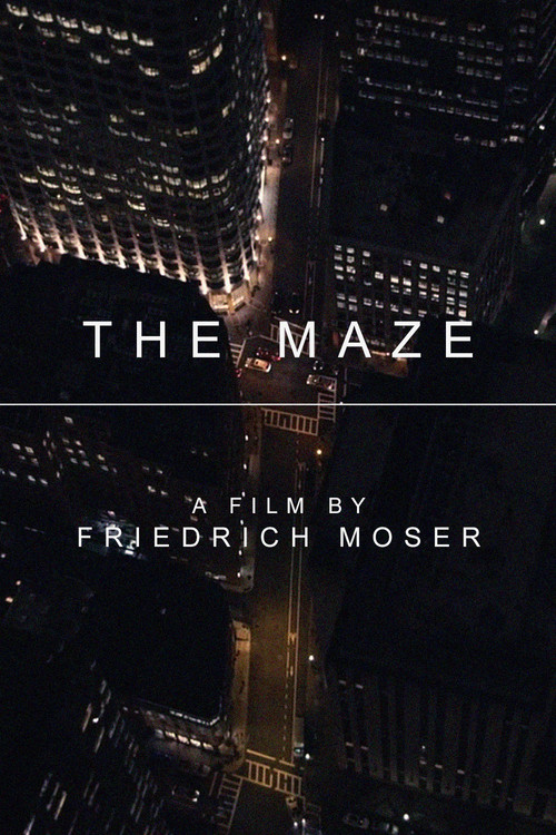 The Maze poster