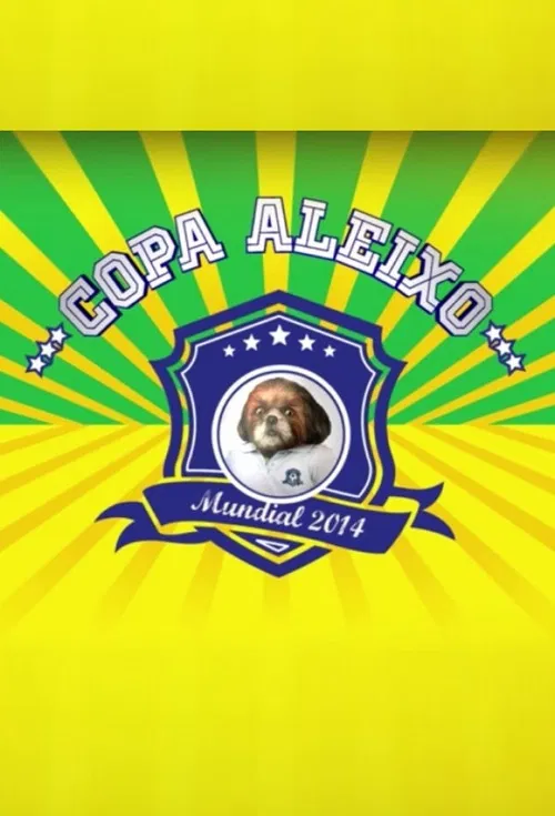 Copa Aleixo 2014 poster