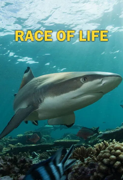 Race of life poster