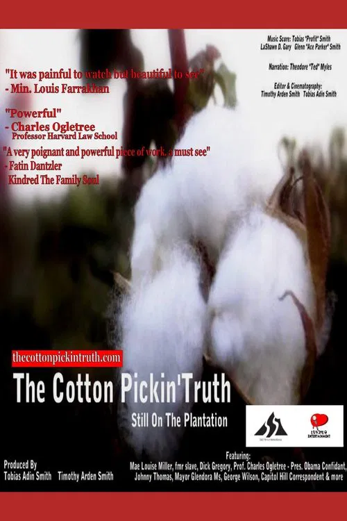 The Cotton Pickin Truth... Still on the Plantation poster