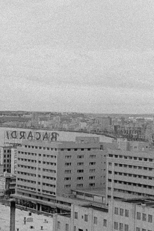 Looking for El Santo poster