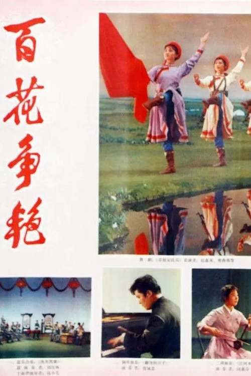 Bai hua zheng yan poster