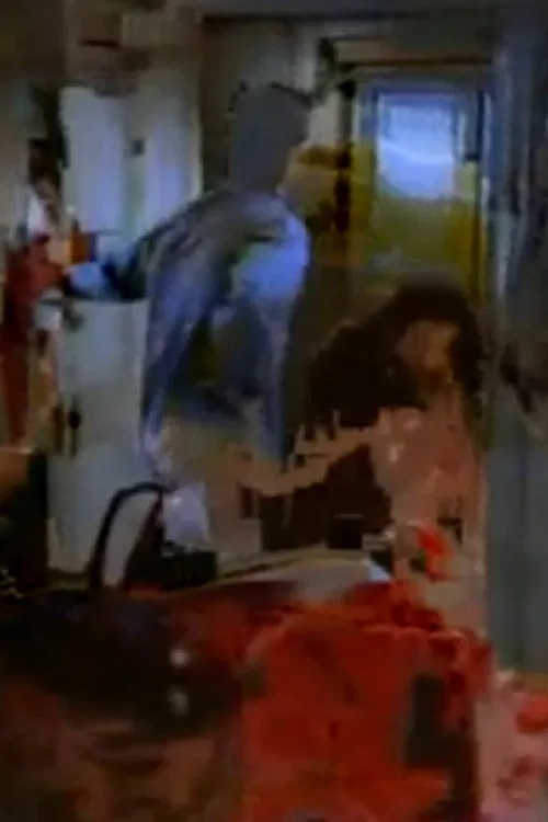 Panic in Needle Park poster