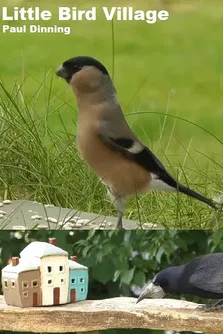 Little Bird Village poster
