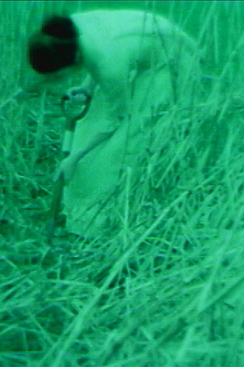 Dear God Please Save Me poster