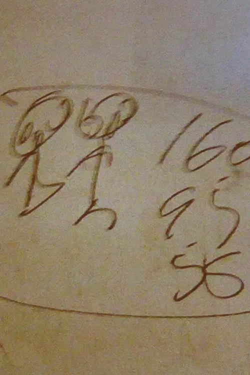 Yangtze Scribbler poster