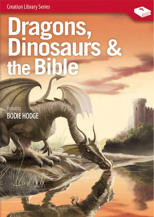 Dragons, Dinosaurs & the Bible poster
