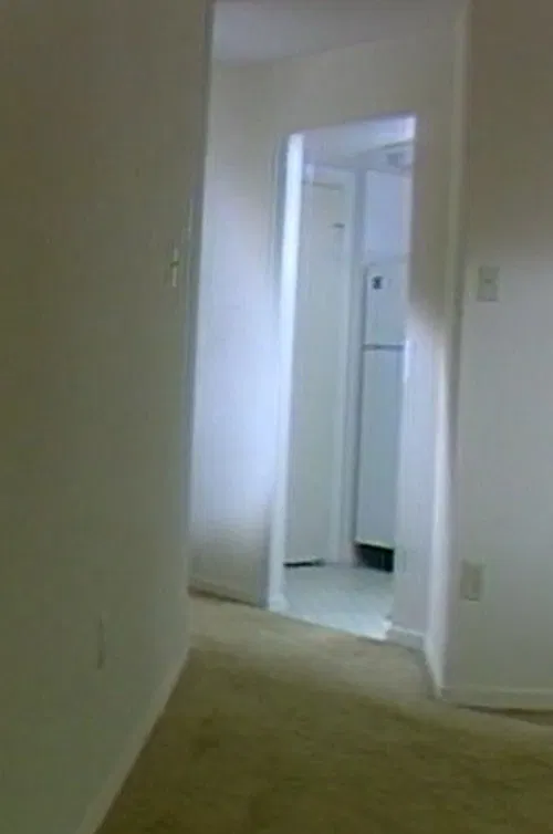 Within Dialogue (Silence) poster