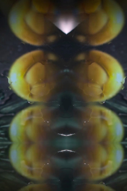 Howe Are You Island ? poster