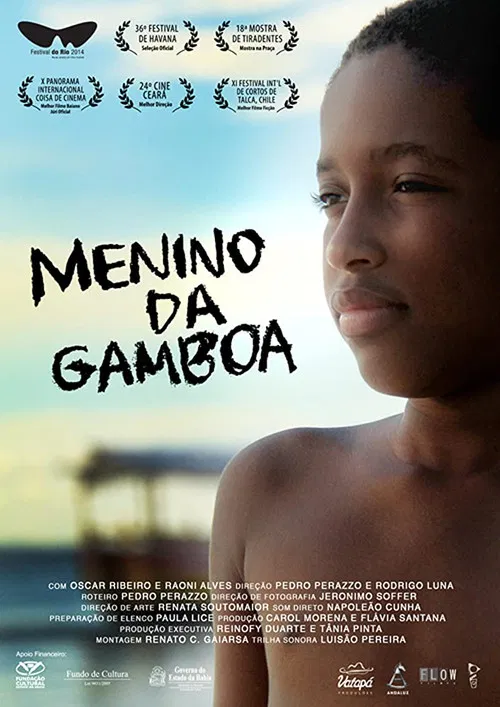 Menino da Gamboa poster