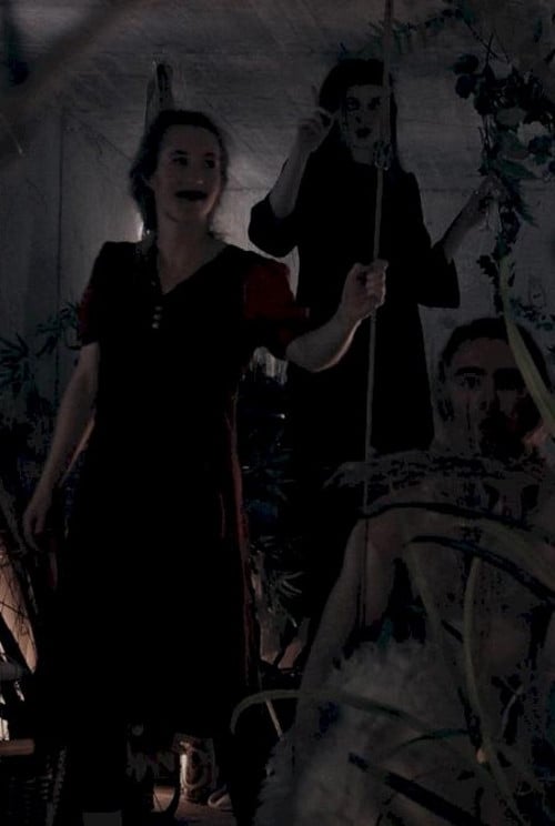 Happyness is a Warm Gun poster