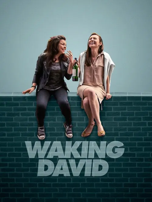 Waking David poster