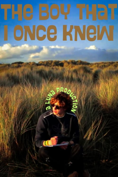 The Boy that I once knew poster
