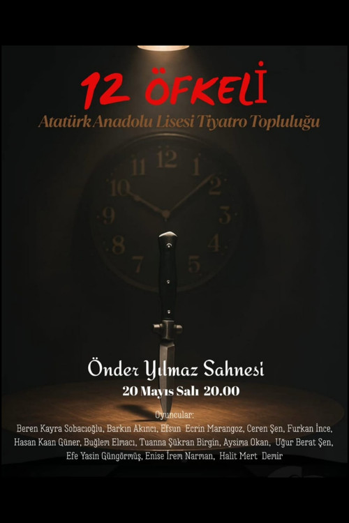 12 Kızgın poster