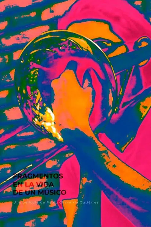 Fragments in a Musician's Life poster