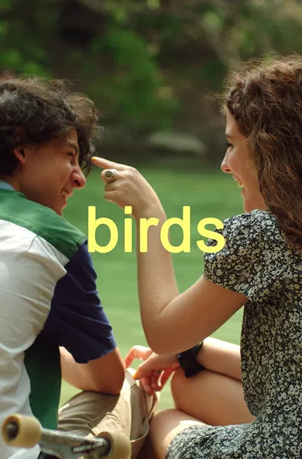 Birds poster