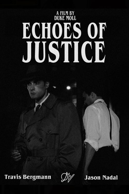 Echoes of Justice poster