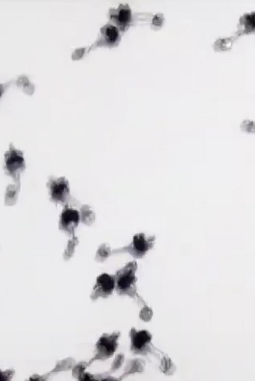 Untitled Sound Objects poster