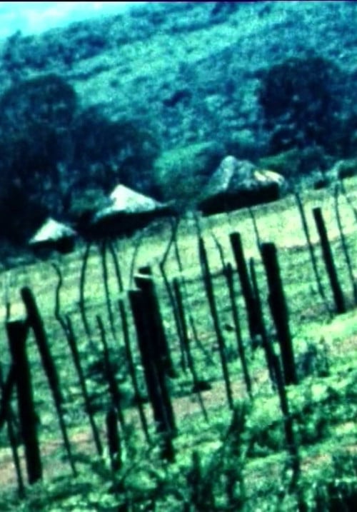 Hommage an Ludwig van Beethoven poster