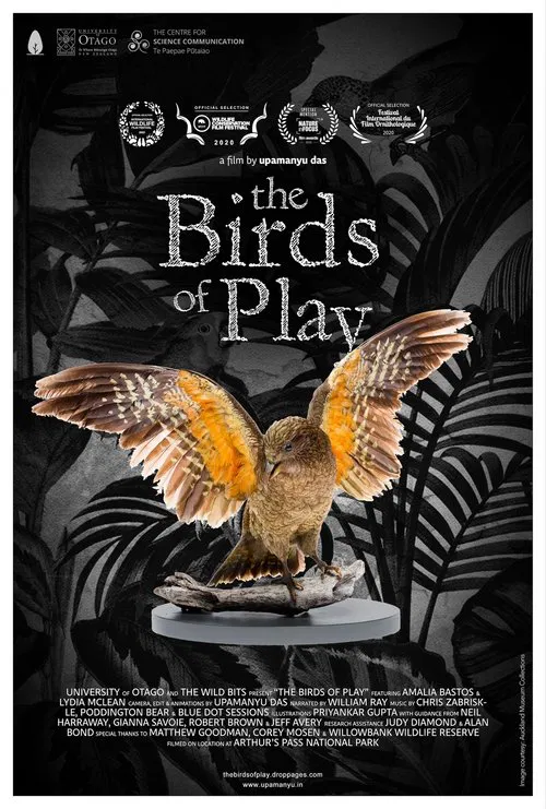 The Birds of Play poster