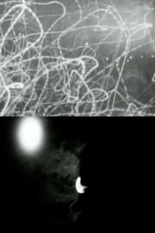 D - Non diversi giorni si pensa splendessero alle prime origini del nascente mondo o che avessero temperatura diversa poster