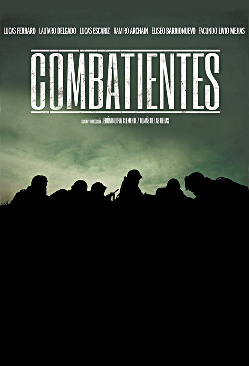 Combatientes poster