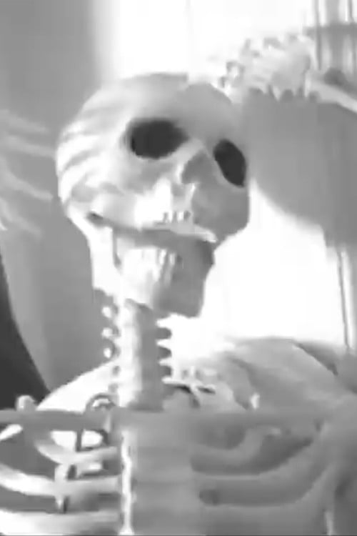 Canvas of Echos poster