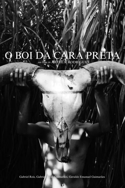 O Boi da Cara Preta poster