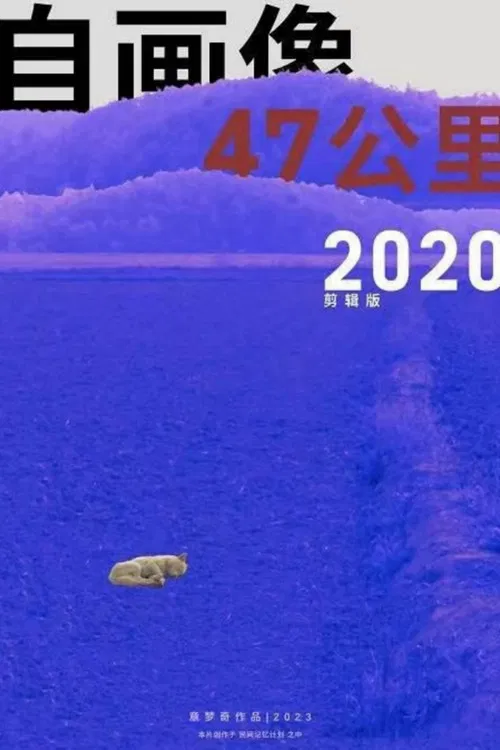 Self-Portrait: 47 KM 2020 poster