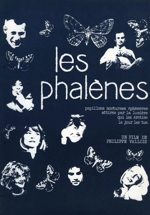 Les phalènes poster
