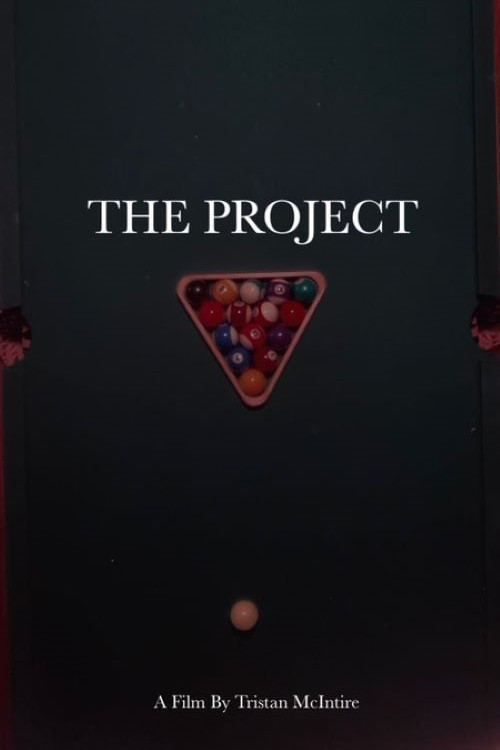 The Project poster