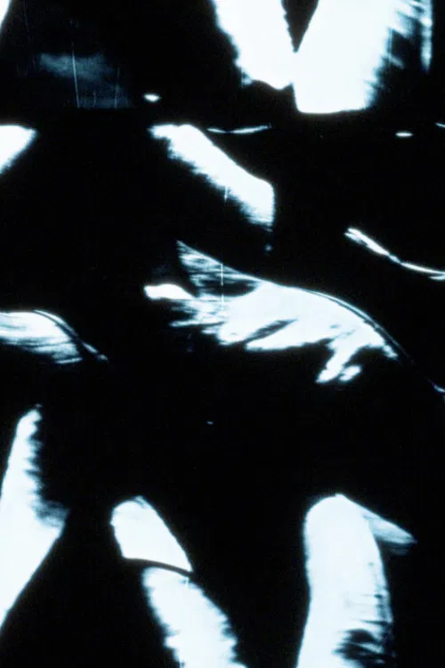 tulips are my father's favourite flower poster