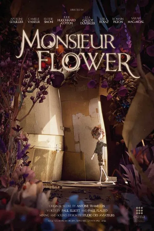 Mr Flower poster