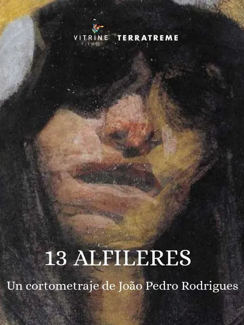 13 Alfinetes poster