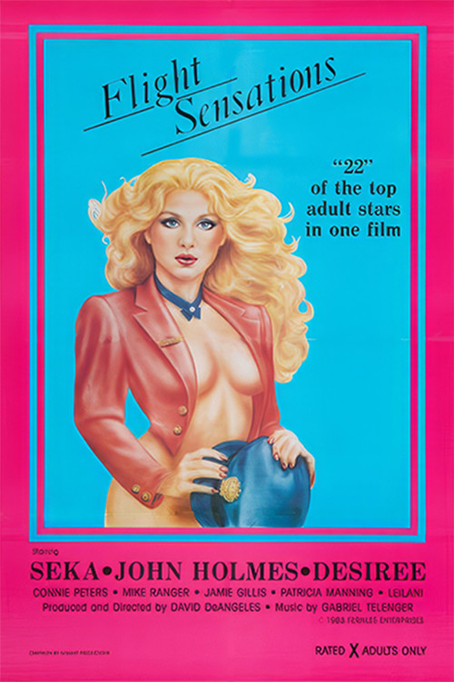 Flight Sensations poster