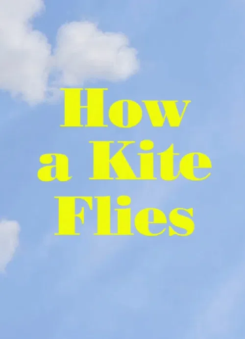 How a Kite Flies poster