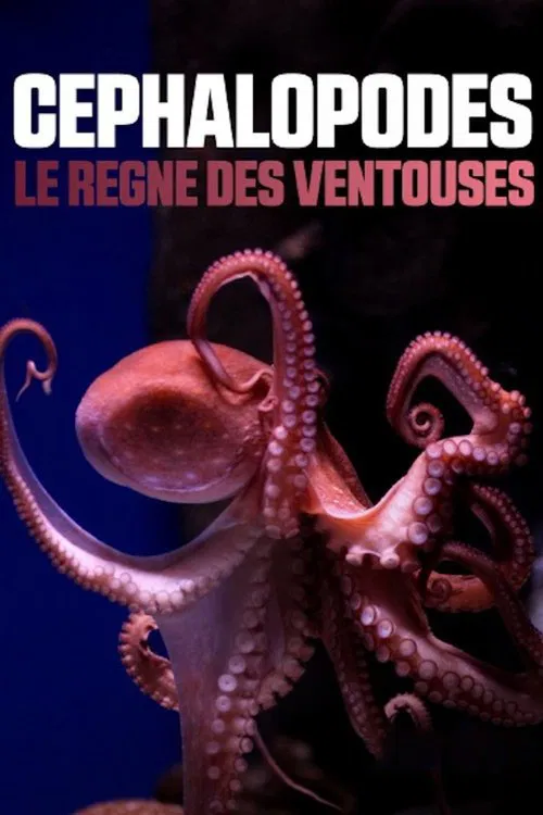 Cephalopods: The Reign of Suckers poster