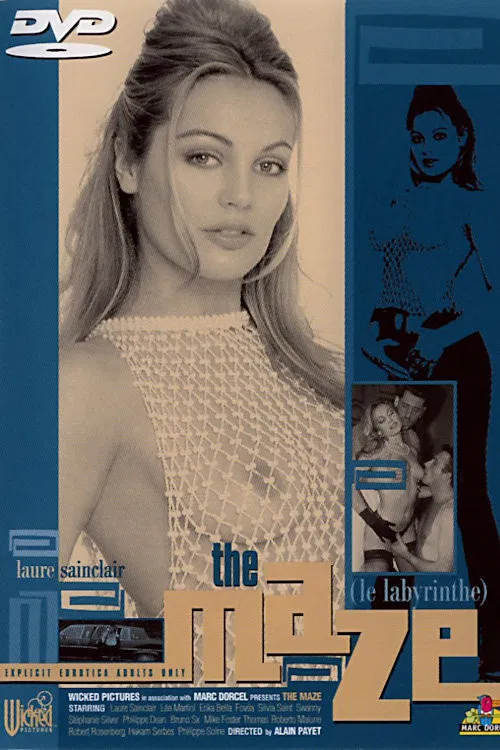 The Maze poster